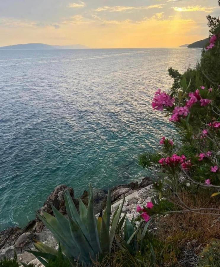 Villa Ivo Apartmani Promajna Exteriér fotografie